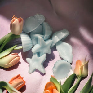Allure Handcrafted Scented Wax Melts