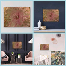 Load image into Gallery viewer, Desert Rose Acrylic Pouring Painting.